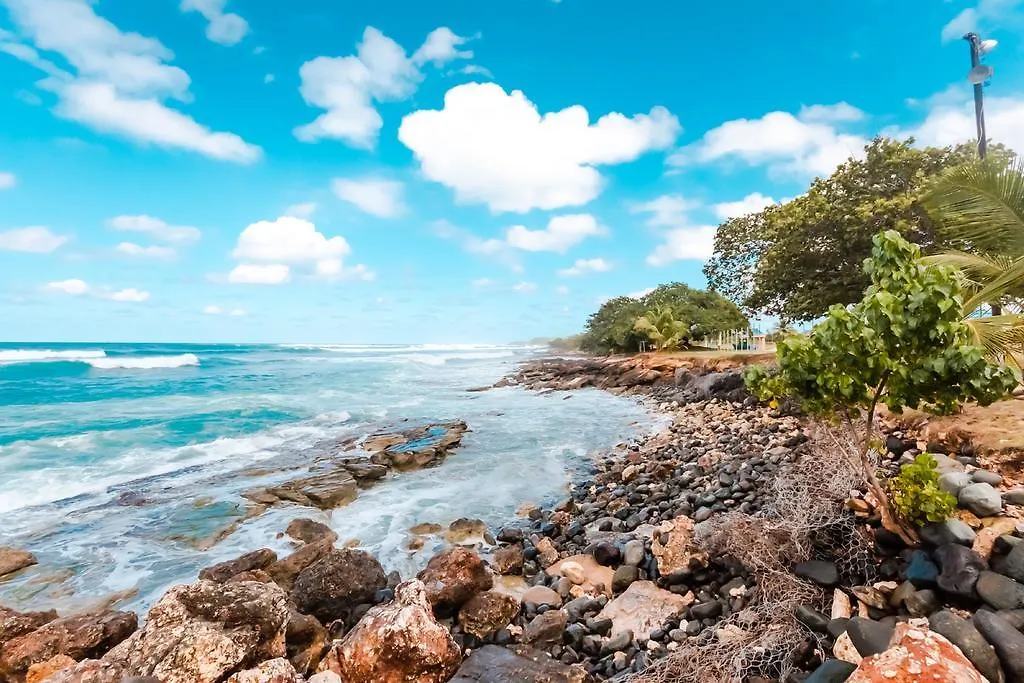 Amazing Studios Manati City Inn Hotels